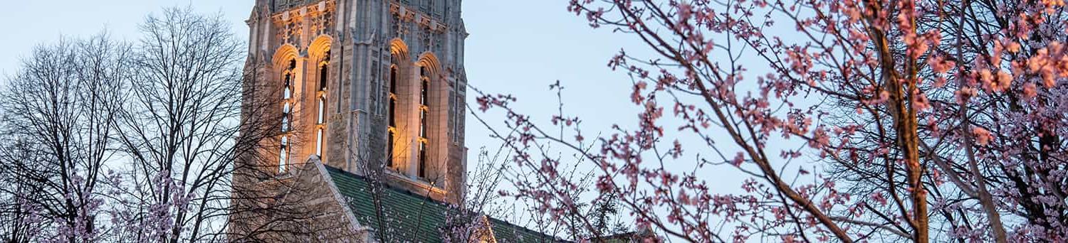 Gasson tower